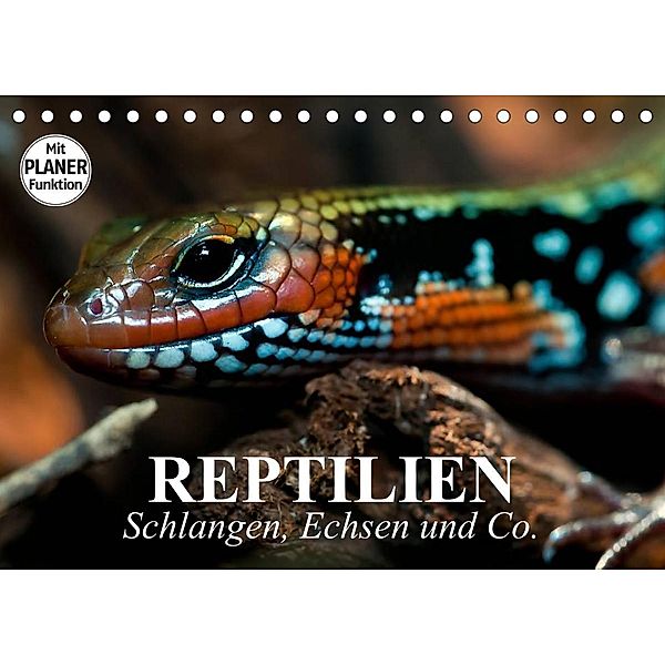 Reptilien. Schlangen, Echsen und Co. (Tischkalender 2023 DIN A5 quer), Elisabeth Stanzer