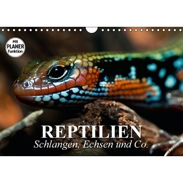 Reptilien. Schlangen, Echsen und Co. (Wandkalender 2016 DIN A4 quer), Elisabeth Stanzer