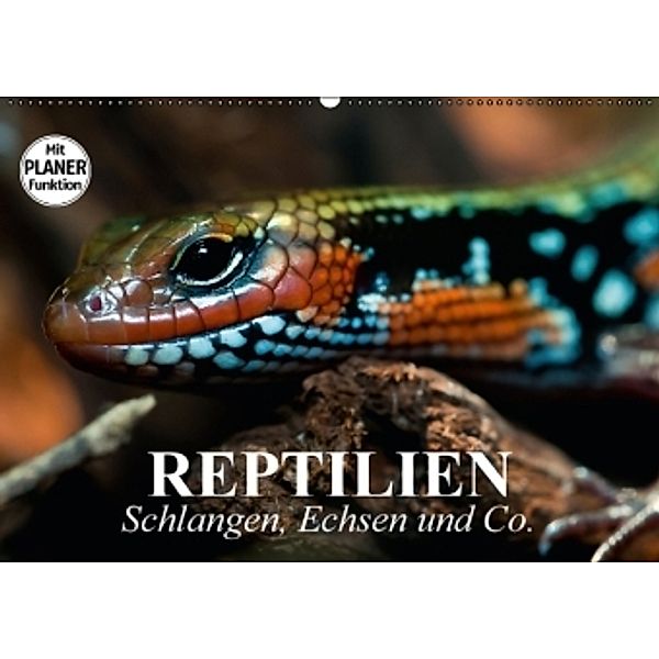 Reptilien. Schlangen, Echsen und Co. (Wandkalender 2016 DIN A2 quer), Elisabeth Stanzer