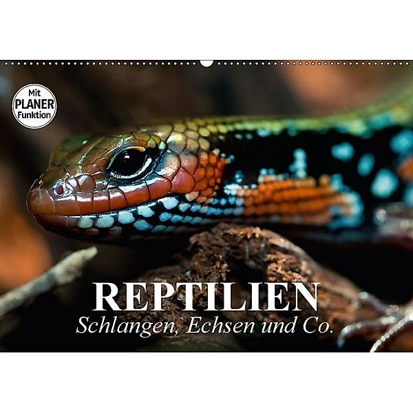 Reptilien. Schlangen, Echsen und Co. (Wandkalender 2017 DIN A2 quer), Elisabeth Stanzer