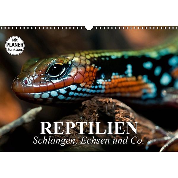 Reptilien. Schlangen, Echsen und Co. (Wandkalender 2021 DIN A3 quer), Elisabeth Stanzer