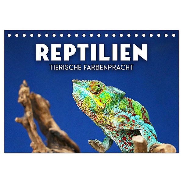 Reptilien - Tierische Farbenpracht (Tischkalender 2024 DIN A5 quer), CALVENDO Monatskalender, SF