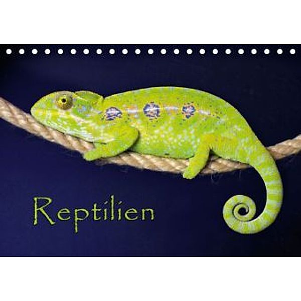 Reptilien (Tischkalender 2016 DIN A5 quer), der Sushi