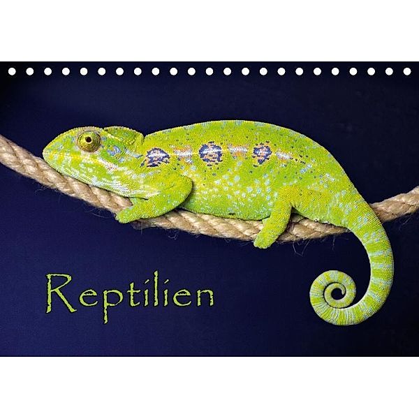 Reptilien (Tischkalender 2017 DIN A5 quer), der Sushi