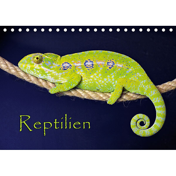 Reptilien (Tischkalender 2019 DIN A5 quer), der Sushi