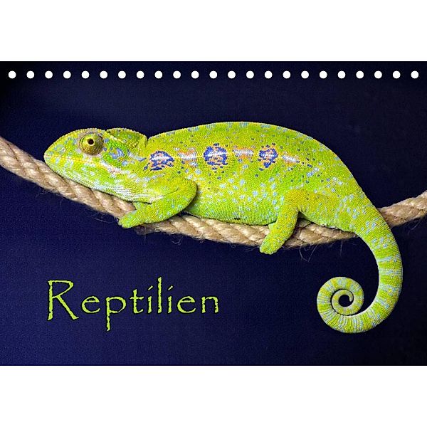 Reptilien (Tischkalender 2023 DIN A5 quer), der Sushi