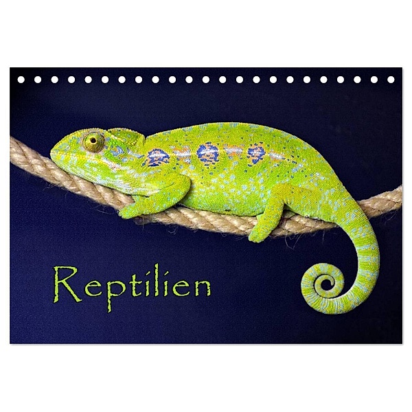 Reptilien (Tischkalender 2024 DIN A5 quer), CALVENDO Monatskalender, der Sushi