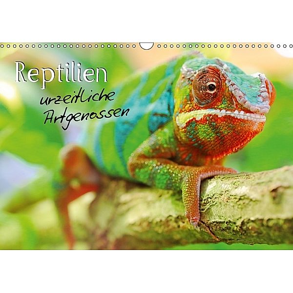 Reptilien urzeitliche Artgenossen (Wandkalender 2018 DIN A3 quer) Dieser erfolgreiche Kalender wurde dieses Jahr mit gle, Stefan Mosert