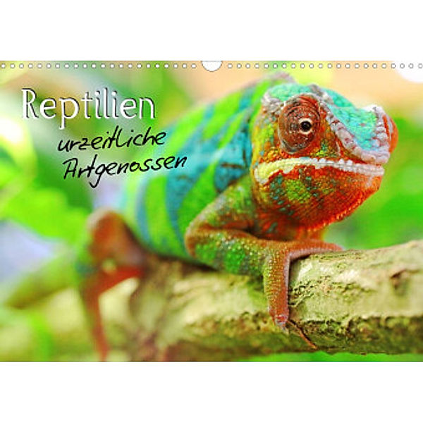 Reptilien urzeitliche Artgenossen (Wandkalender 2022 DIN A3 quer), Stefan Mosert