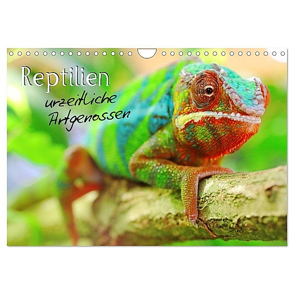 Reptilien urzeitliche Artgenossen (Wandkalender 2024 DIN A4 quer), CALVENDO Monatskalender, Stefan Mosert