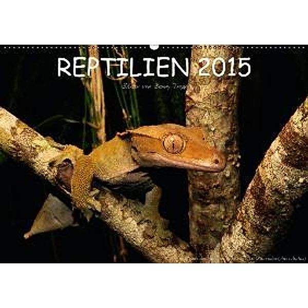 REPTILIEN (Wandkalender 2015 DIN A2 quer), Benny Trapp