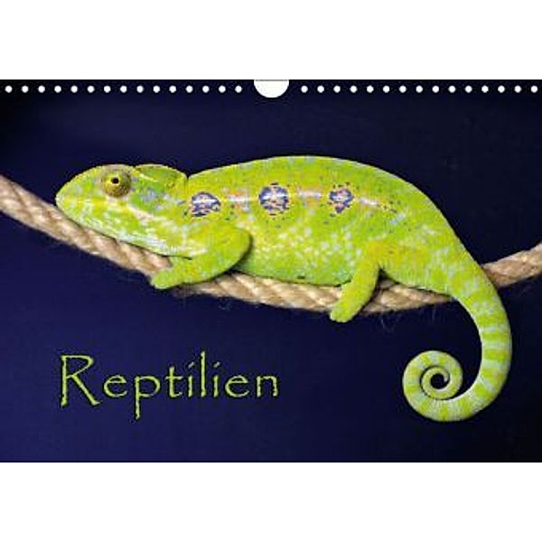 Reptilien (Wandkalender 2015 DIN A4 quer), der Sushi