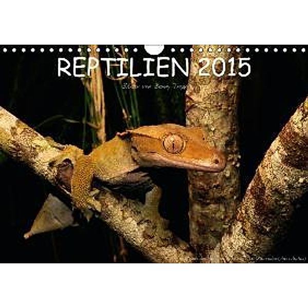REPTILIEN (Wandkalender 2015 DIN A4 quer), Benny Trapp