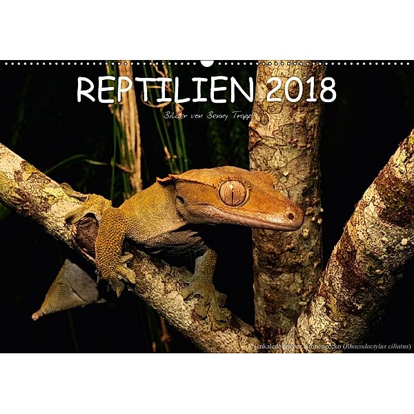 REPTILIEN (Wandkalender 2018 DIN A2 quer), Benny Trapp