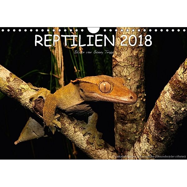 REPTILIEN (Wandkalender 2018 DIN A4 quer), Benny Trapp