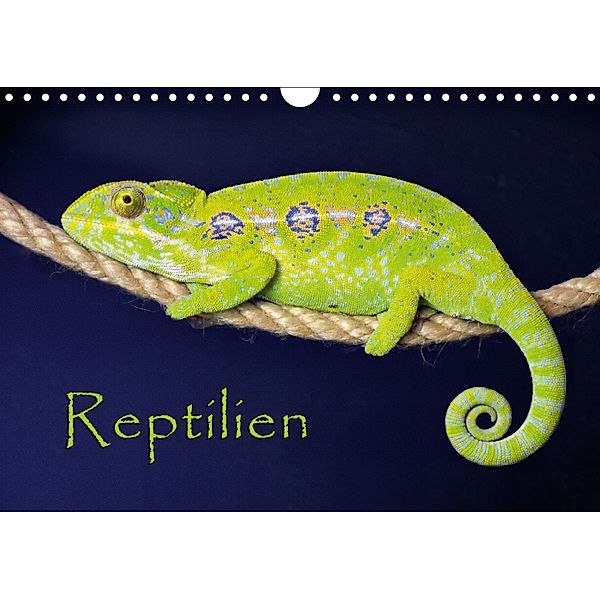 Reptilien (Wandkalender 2018 DIN A4 quer), der Sushi