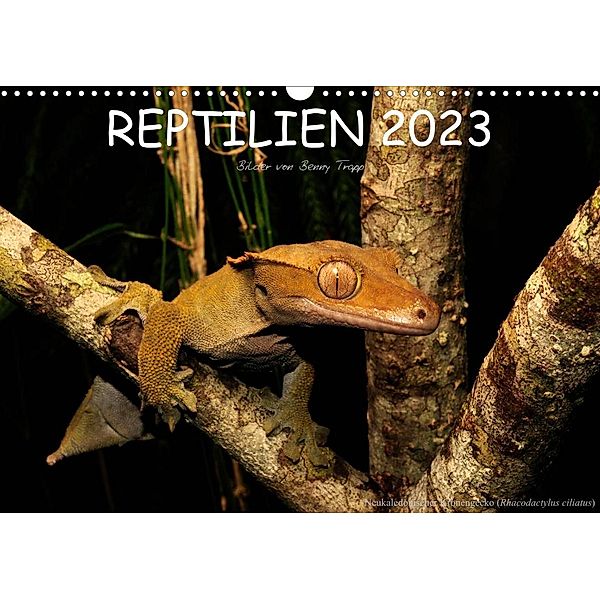 REPTILIEN (Wandkalender 2023 DIN A3 quer), Benny Trapp