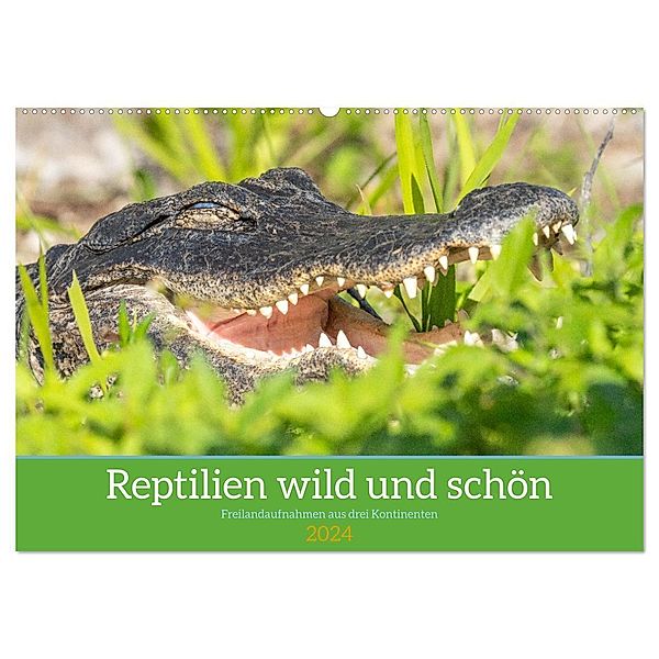 Reptilien wild und schön (Wandkalender 2024 DIN A2 quer), CALVENDO Monatskalender, Bruno Pohl