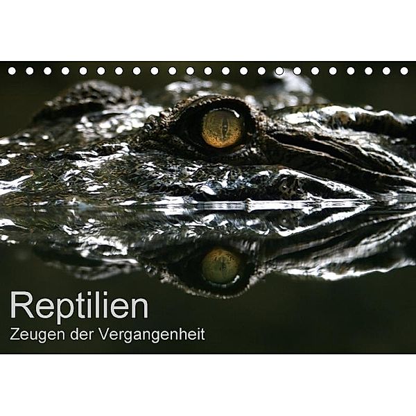 Reptilien - Zeugen der Vergangenheit (Tischkalender 2017 DIN A5 quer), Michael Herzog