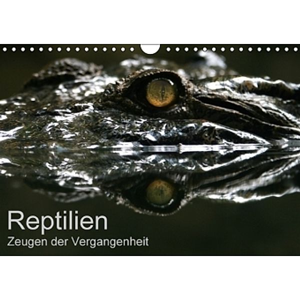 Reptilien - Zeugen der Vergangenheit (Wandkalender 2016 DIN A4 quer), Michael Herzog