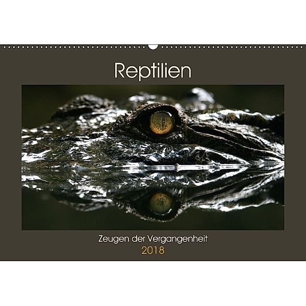 Reptilien - Zeugen der Vergangenheit (Wandkalender 2018 DIN A2 quer), Michael Herzog
