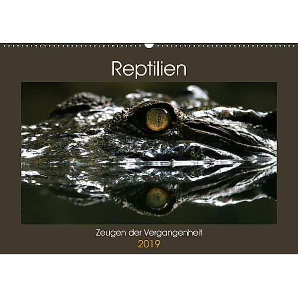 Reptilien - Zeugen der Vergangenheit (Wandkalender 2019 DIN A2 quer), Michael Herzog