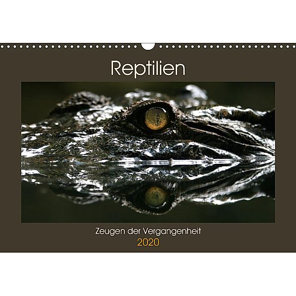 Reptilien - Zeugen der Vergangenheit (Wandkalender 2020 DIN A3 quer), Michael Herzog