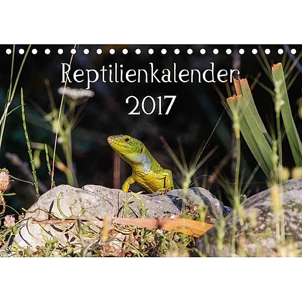 Reptilienkalender 2017 (Tischkalender 2017 DIN A5 quer), Fotos, k.A. Fotos