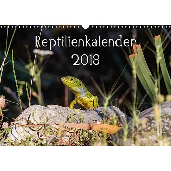 Reptilienkalender 2018 (Wandkalender 2018 DIN A3 quer), Fotos