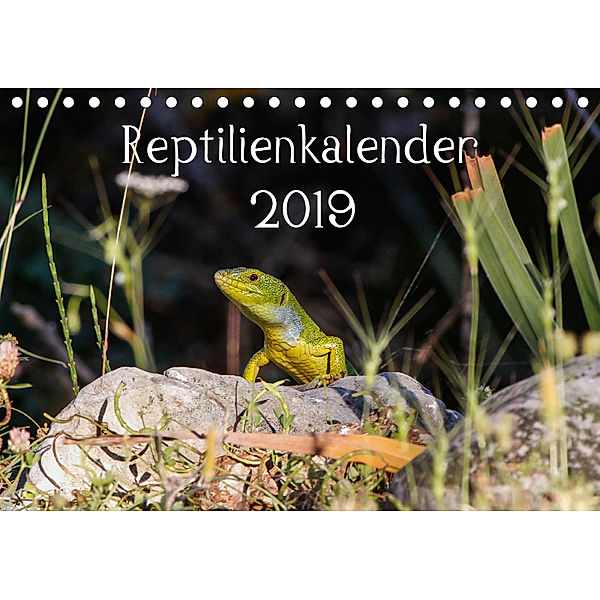Reptilienkalender 2019 (Tischkalender 2019 DIN A5 quer), Fotos