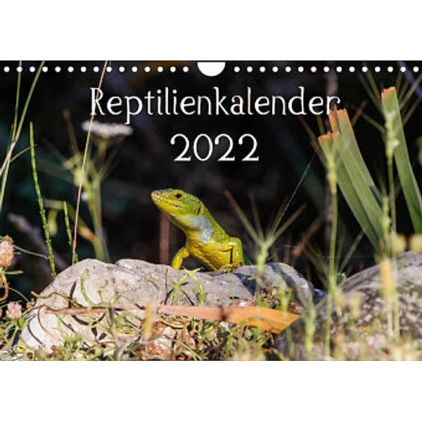 Reptilienkalender 2022 (Wandkalender 2022 DIN A4 quer), Michael Zill, Fotos