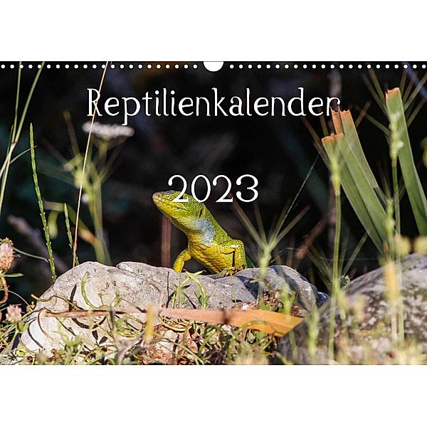 Reptilienkalender 2023 (Wandkalender 2023 DIN A3 quer), Fotos, Michael Zill