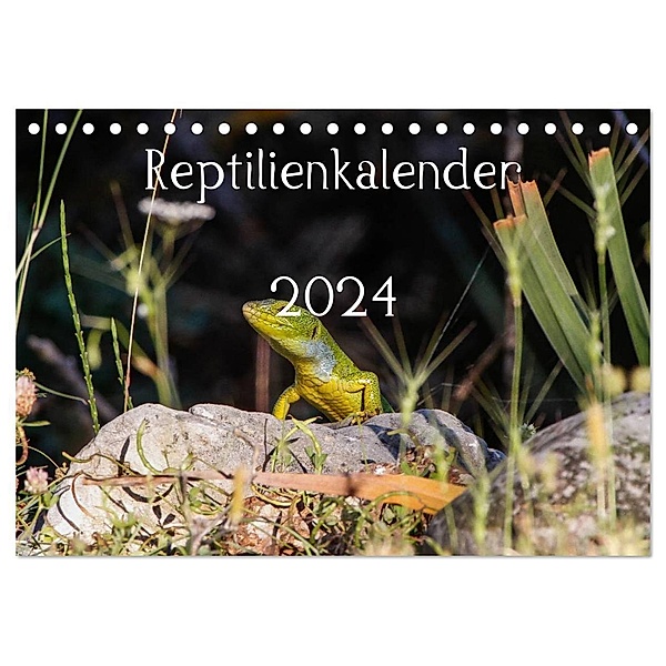 Reptilienkalender 2024 (Tischkalender 2024 DIN A5 quer), CALVENDO Monatskalender, Fotos, Michael Zill