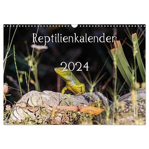 Reptilienkalender 2024 (Wandkalender 2024 DIN A3 quer), CALVENDO Monatskalender, Fotos, Michael Zill