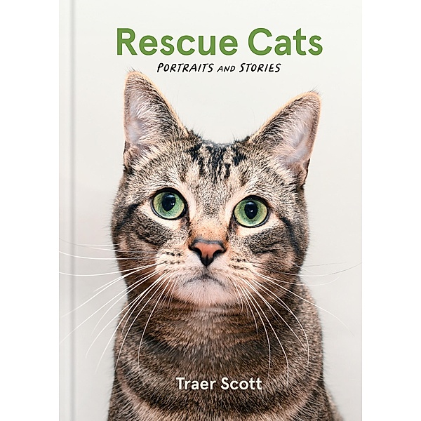Rescue Cats, Traer Scott