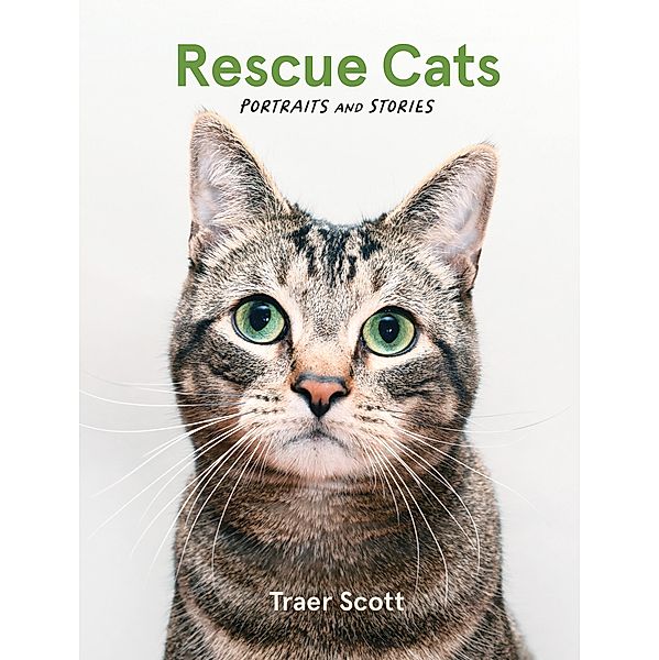 Rescue Cats, Traer Scott