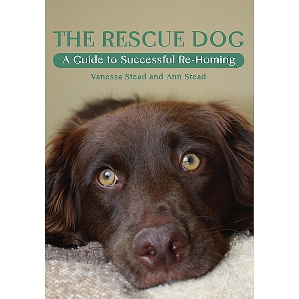Rescue Dog, Ann Stead