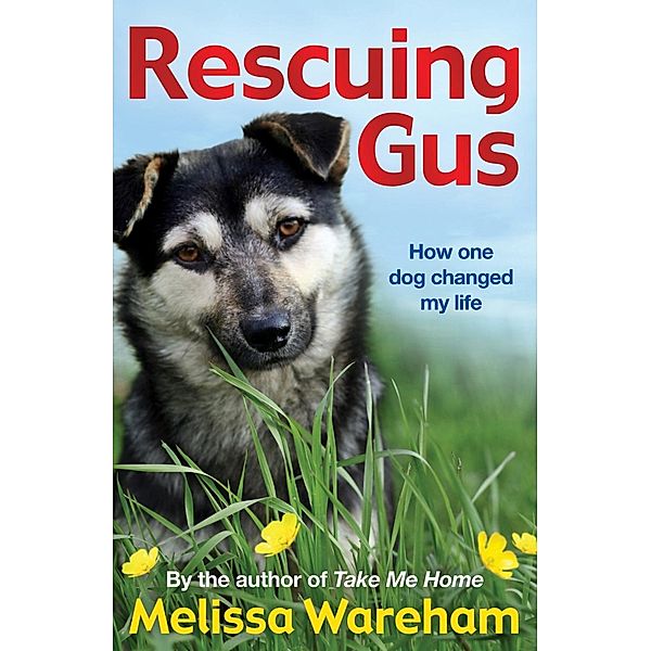 Rescuing Gus, Melissa Wareham