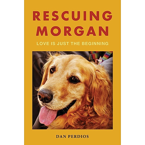 Rescuing Morgan, Dan Perdios