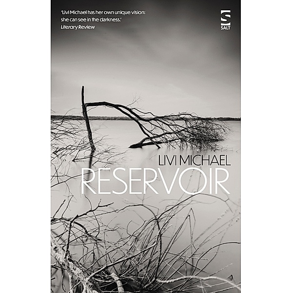 Reservoir / Salt Modern Fiction Bd.0, Livi Michael
