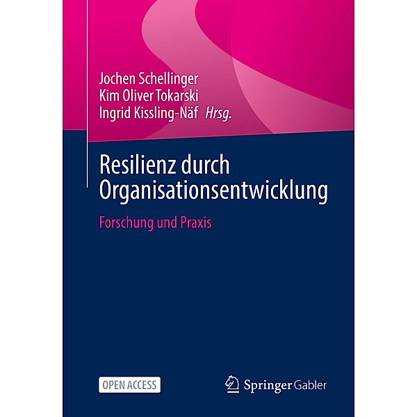 Resilienz durch Organisationsentwicklung