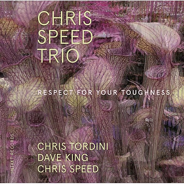 Respect For Your Toughness, Chris Speed Trio