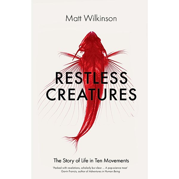 Restless Creatures, Matt Wilkinson