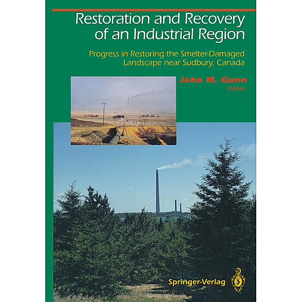Restoration and Recovery of an Industrial Region
