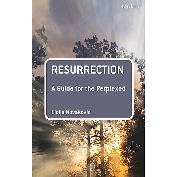 Resurrection: A Guide for the Perplexed, Lidija Novakovic