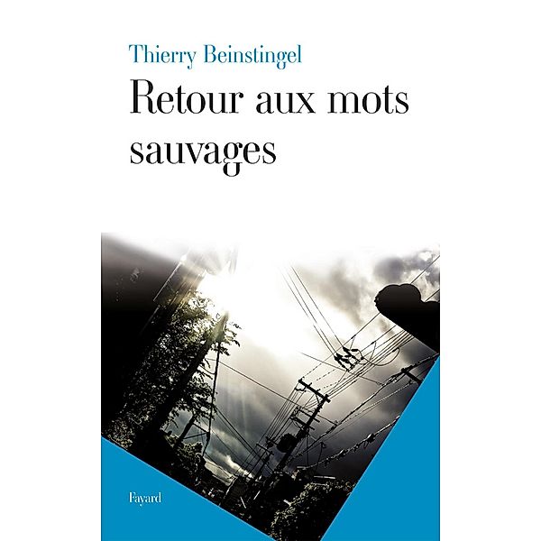 Retour aux mots sauvages / Littérature Française, Thierry Beinstingel