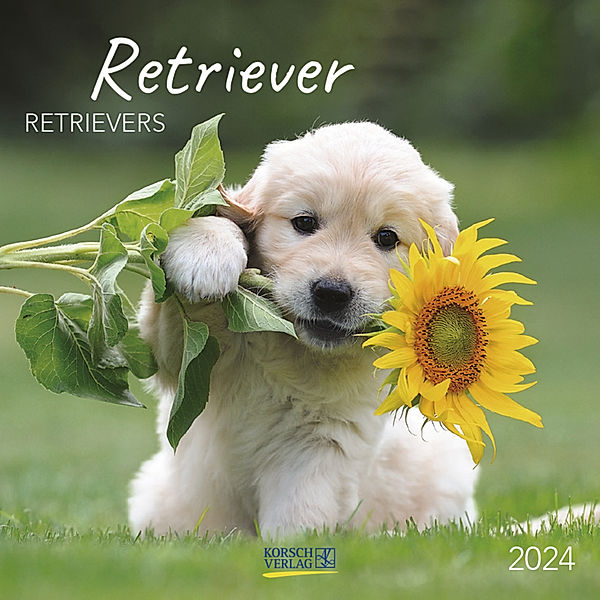 Retriever 2024