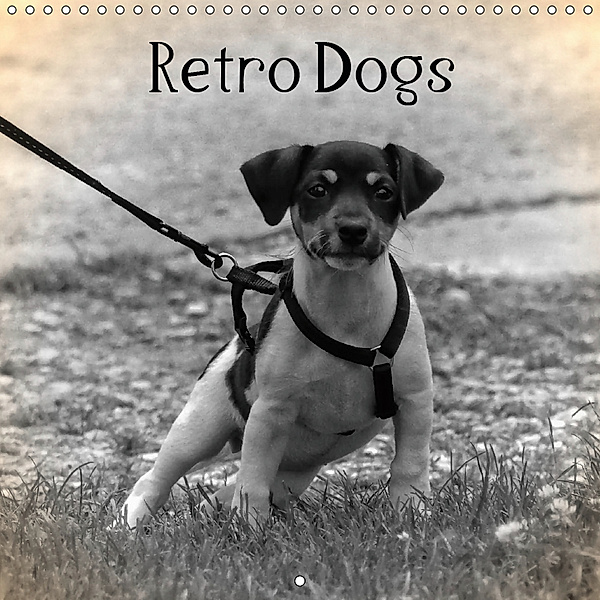 Retro Dogs (Wall Calendar 2019 300 × 300 mm Square), Kattobello