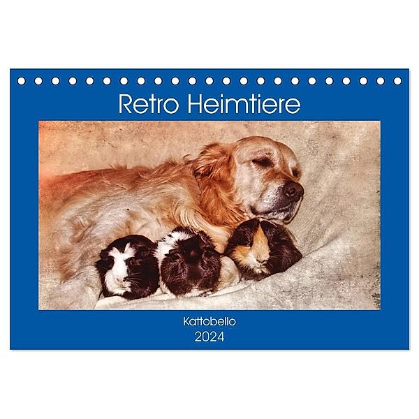 Retro Heimtiere (Tischkalender 2024 DIN A5 quer), CALVENDO Monatskalender, Kattobello