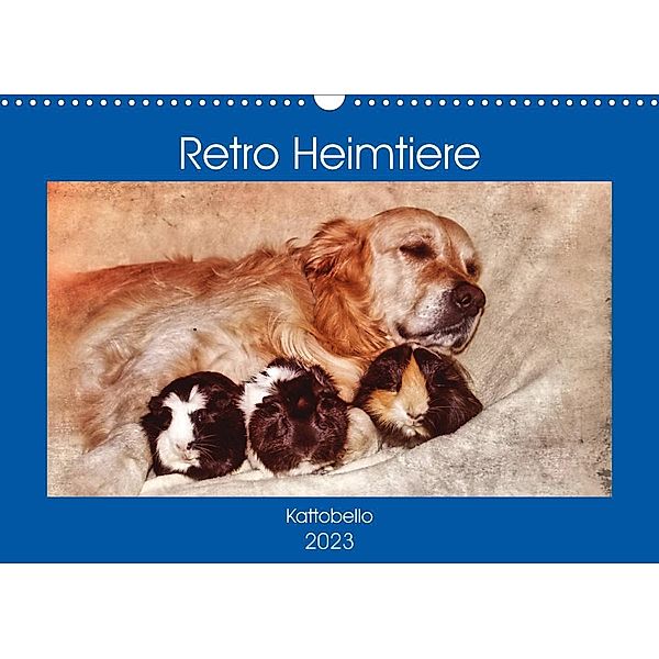Retro Heimtiere (Wandkalender 2023 DIN A3 quer), Kattobello